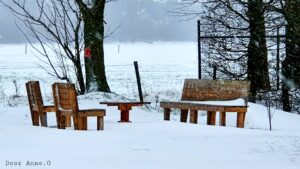 Winters plaatje
